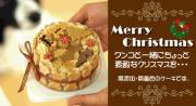 e-dogcafe　クリスマスホールケーキ