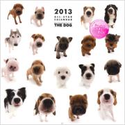 Artlist　2013　THE DOG　ALL-STAR　カレンダー